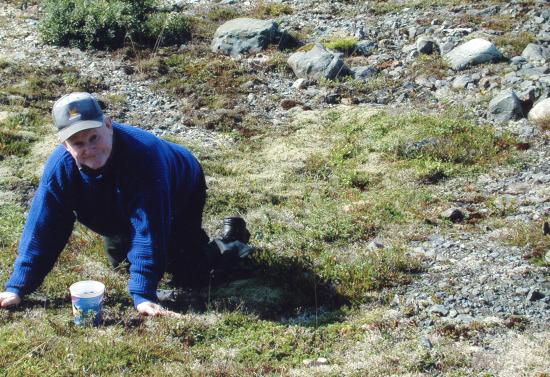 Main Gallery Display