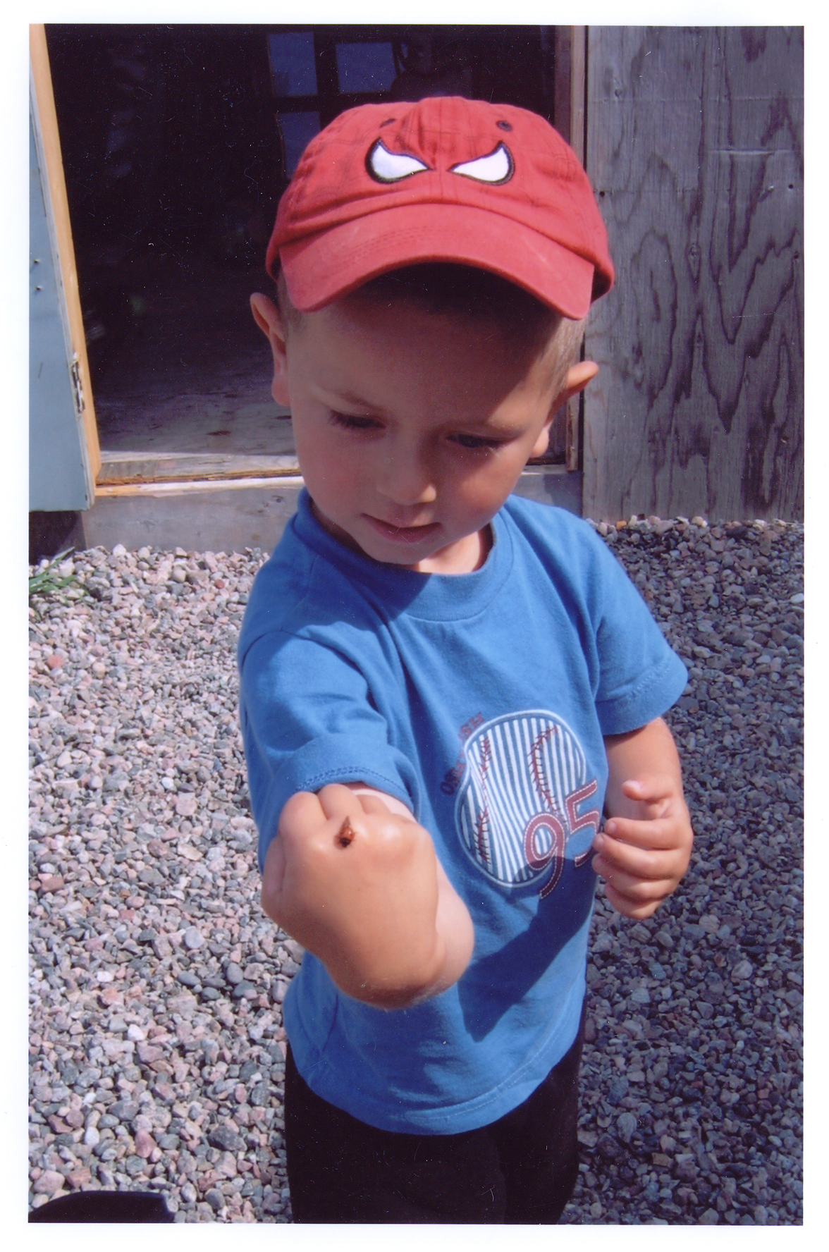 Main Gallery Display