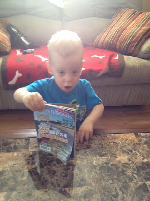 Main Gallery Display