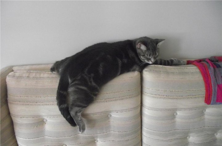 Main Gallery Display