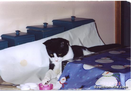 Main Gallery Display