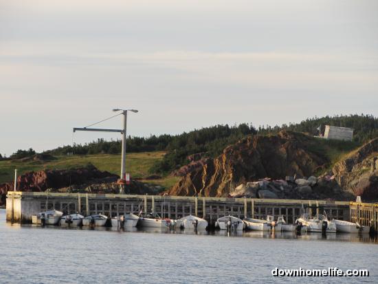 Main Gallery Display