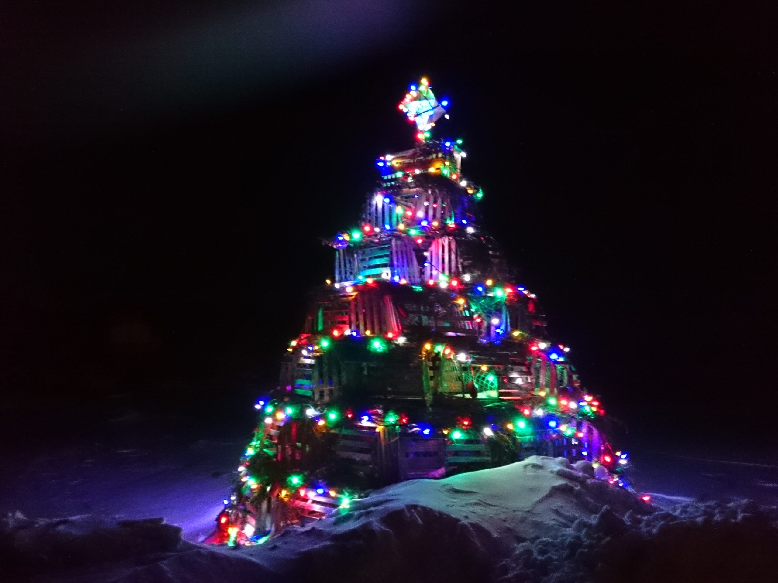 Main Gallery Display