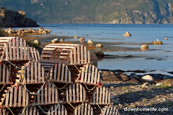 Main Gallery Display