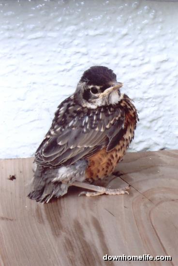 Main Gallery Display