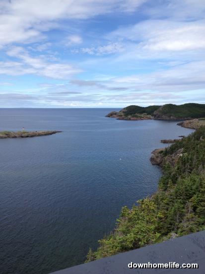 Main Gallery Display