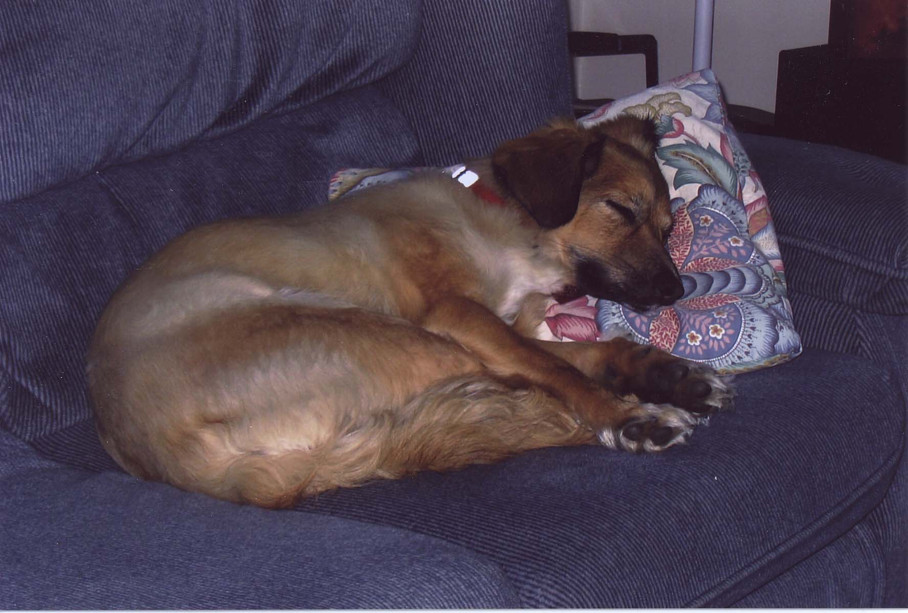 Main Gallery Display