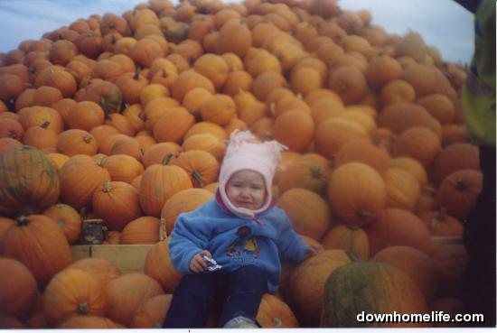 Main Gallery Display