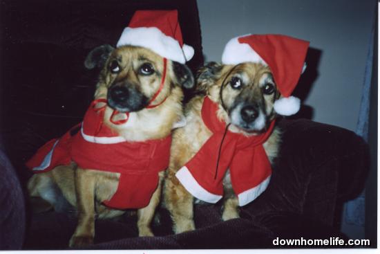 Main Gallery Display