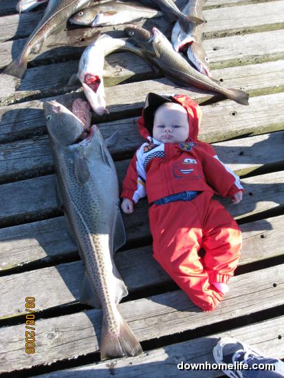 Main Gallery Display