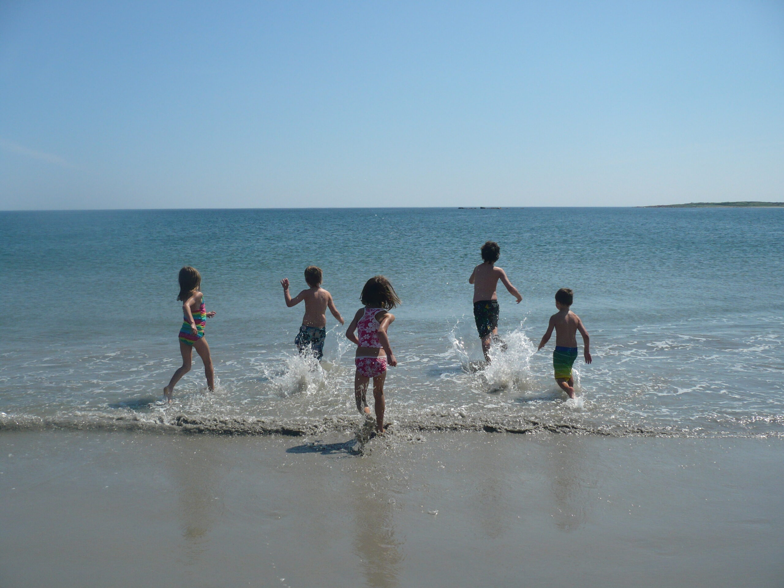 Main Gallery Display