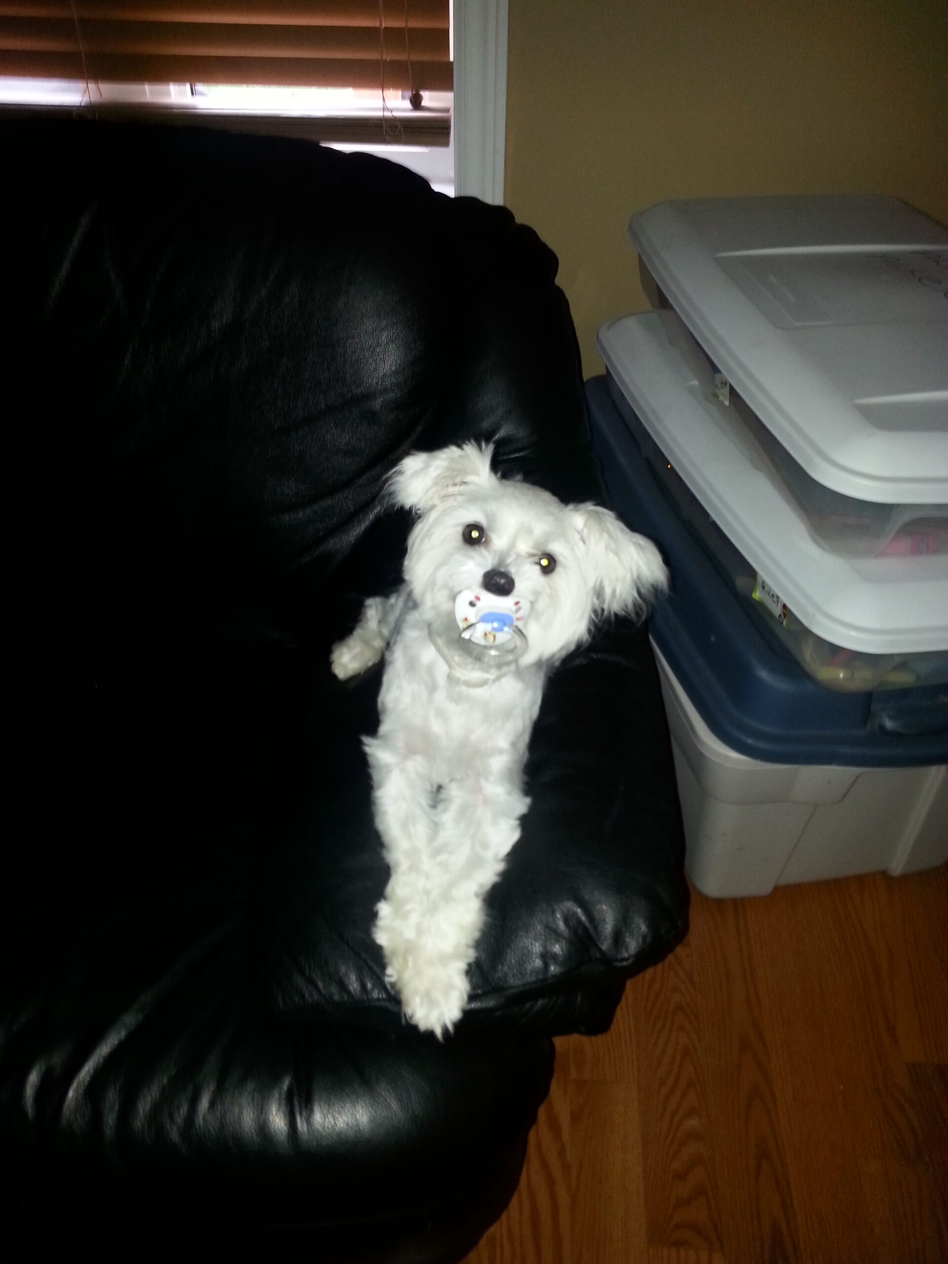 Main Gallery Display