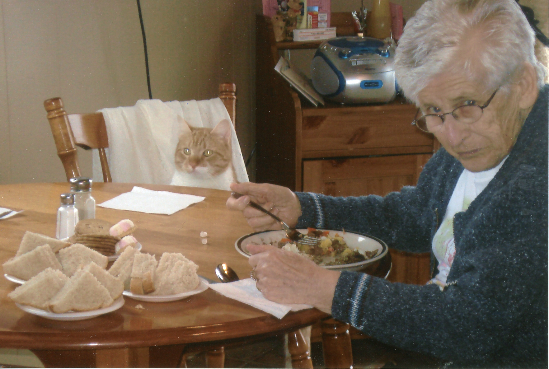Main Gallery Display