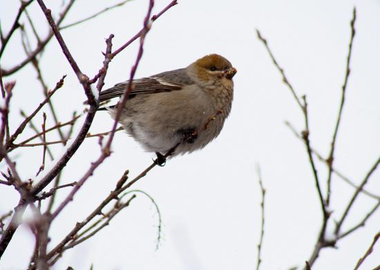 Main Gallery Display