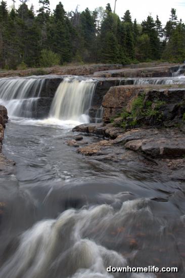Main Gallery Display