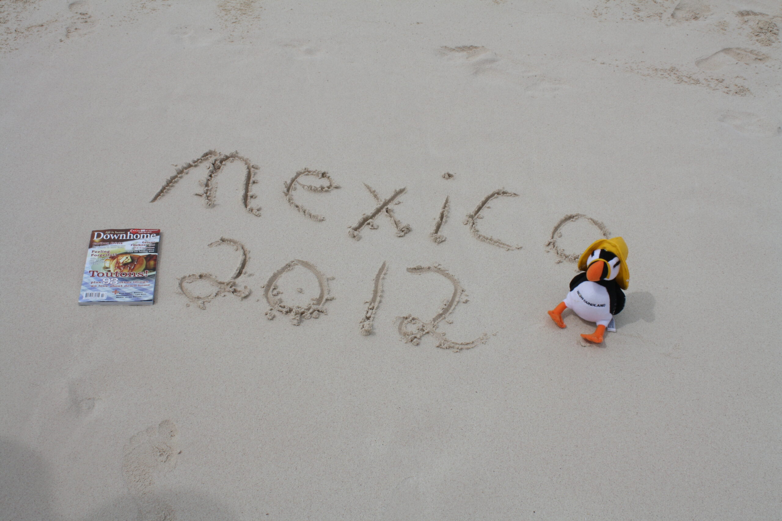 Main Gallery Display