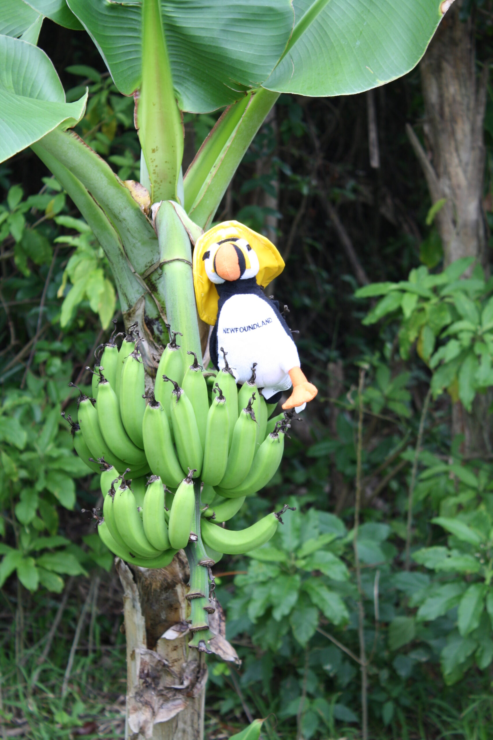 Main Gallery Display