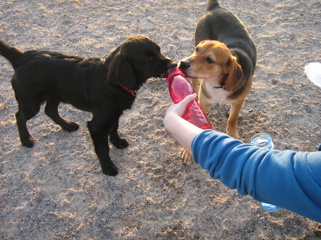 Main Gallery Display