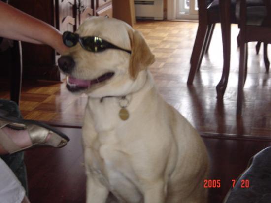 Main Gallery Display