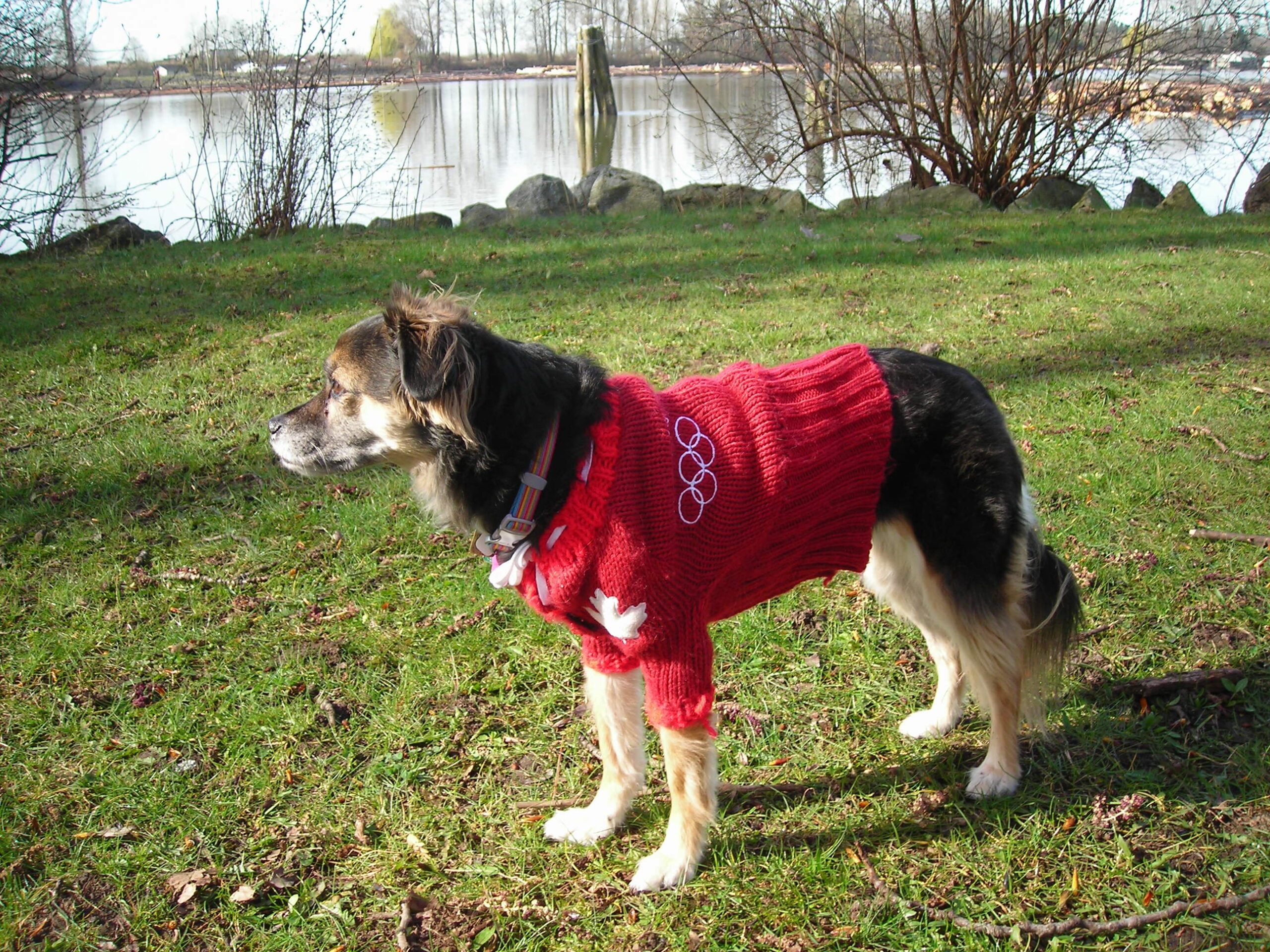 Main Gallery Display