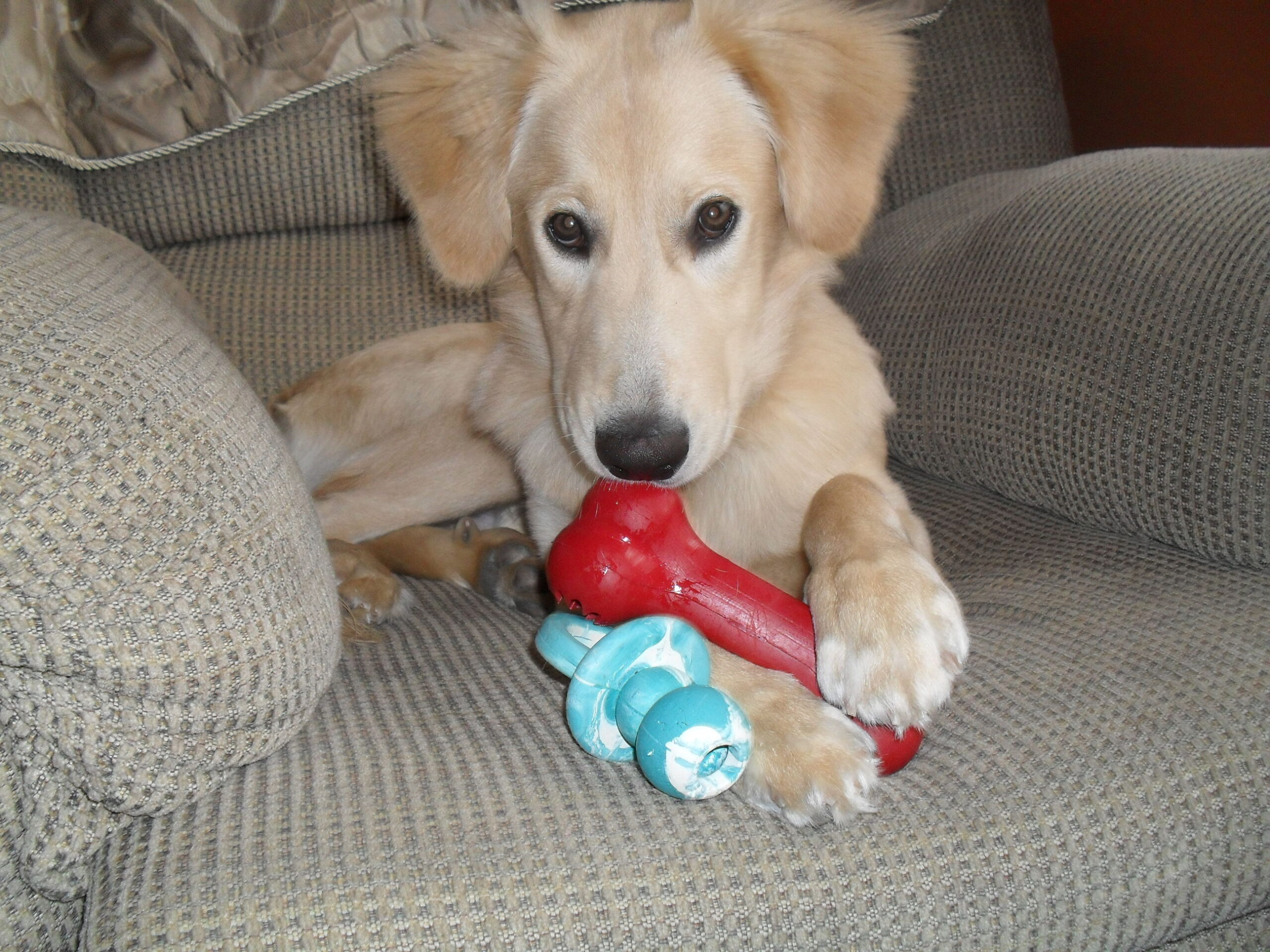 Main Gallery Display