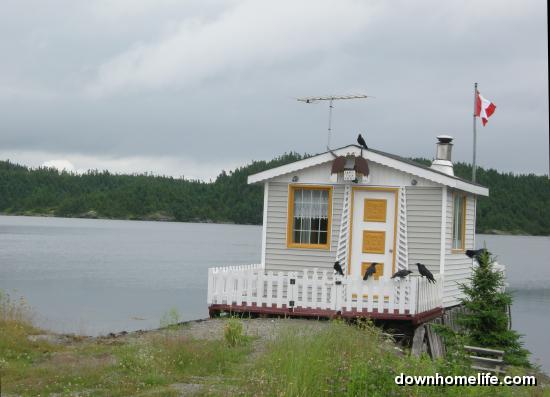 Main Gallery Display