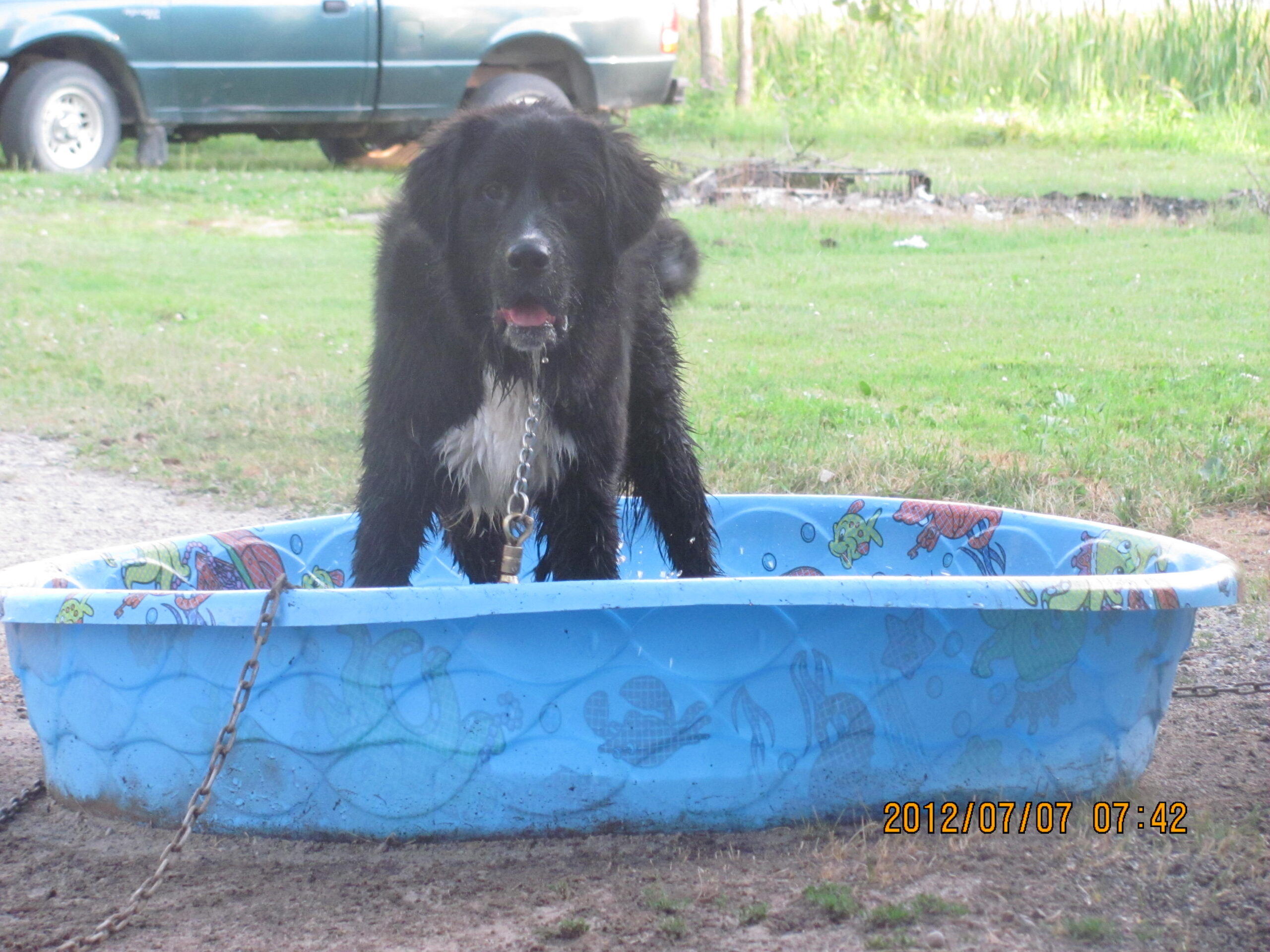 Main Gallery Display