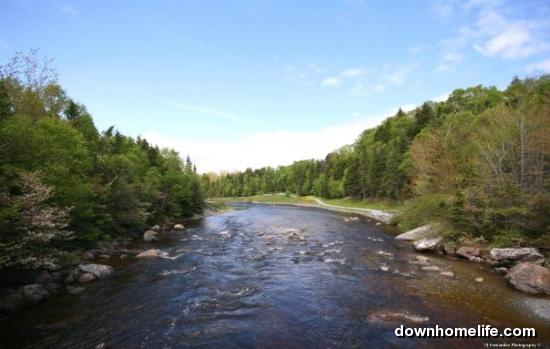 Main Gallery Display