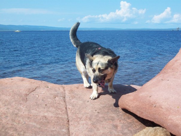 Main Gallery Display
