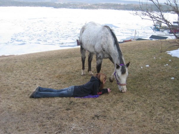 Main Gallery Display