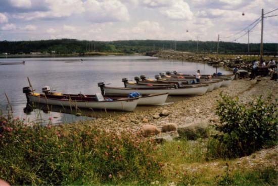 Main Gallery Display