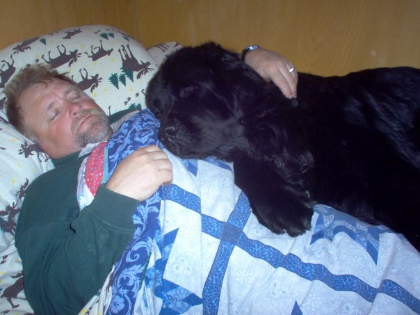 Main Gallery Display