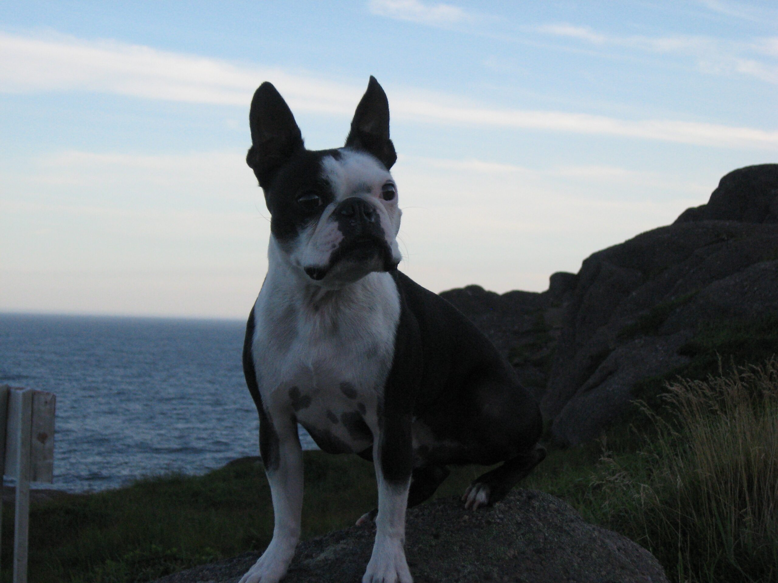 Main Gallery Display
