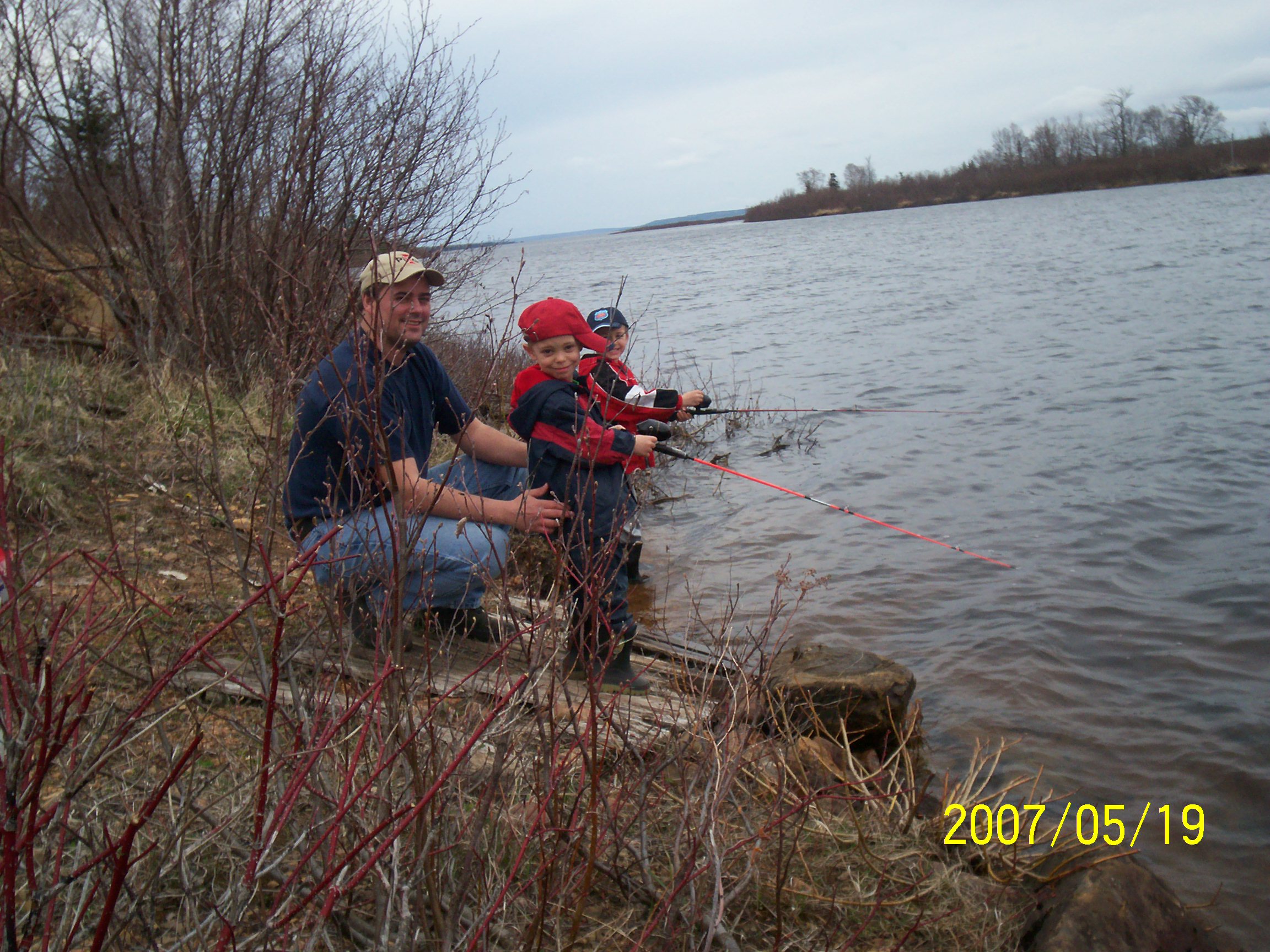Main Gallery Display