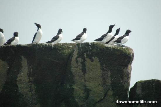 Main Gallery Display