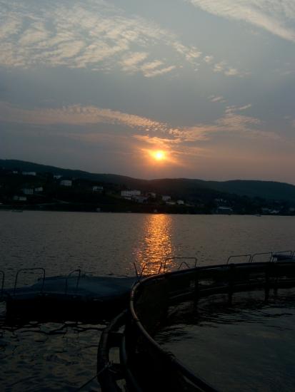 Main Gallery Display