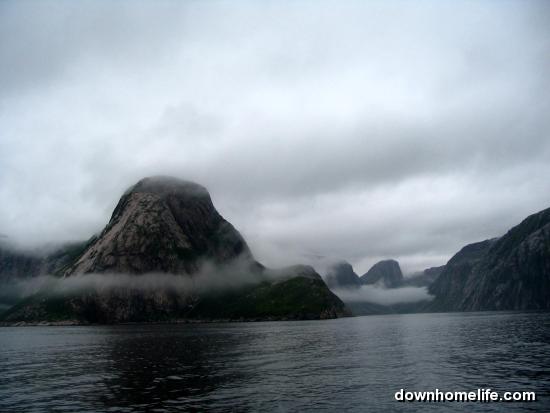 Main Gallery Display