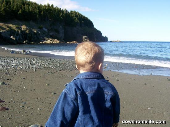 Main Gallery Display