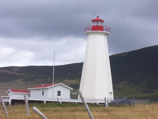 Main Gallery Display