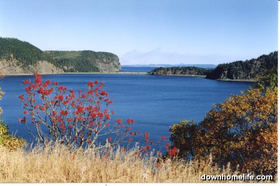 Main Gallery Display
