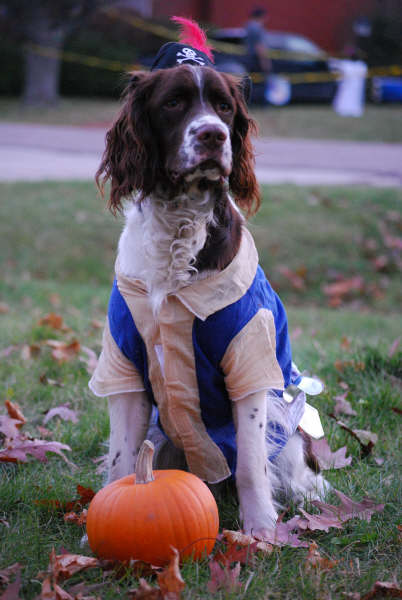 Main Gallery Display