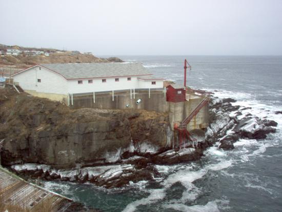 Main Gallery Display