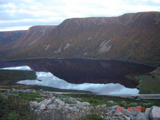Main Gallery Display