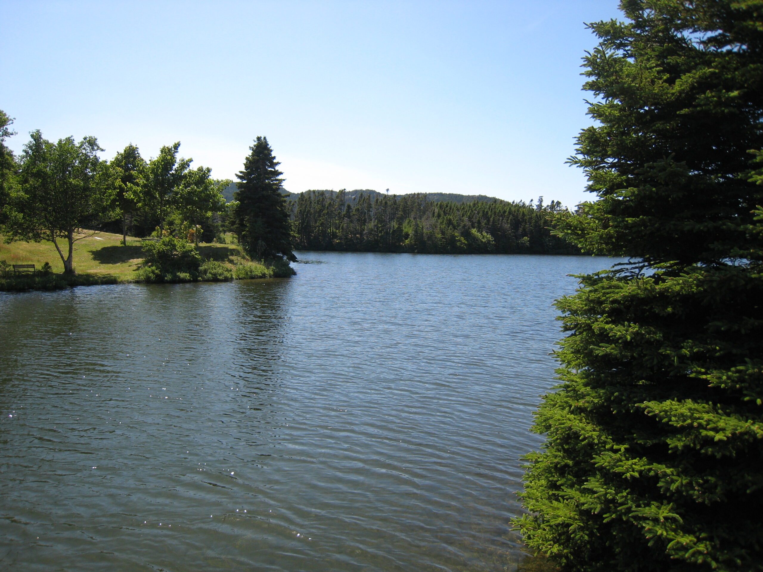 Beautiful Day in Clarkes Beach, NL Downhome Magazine