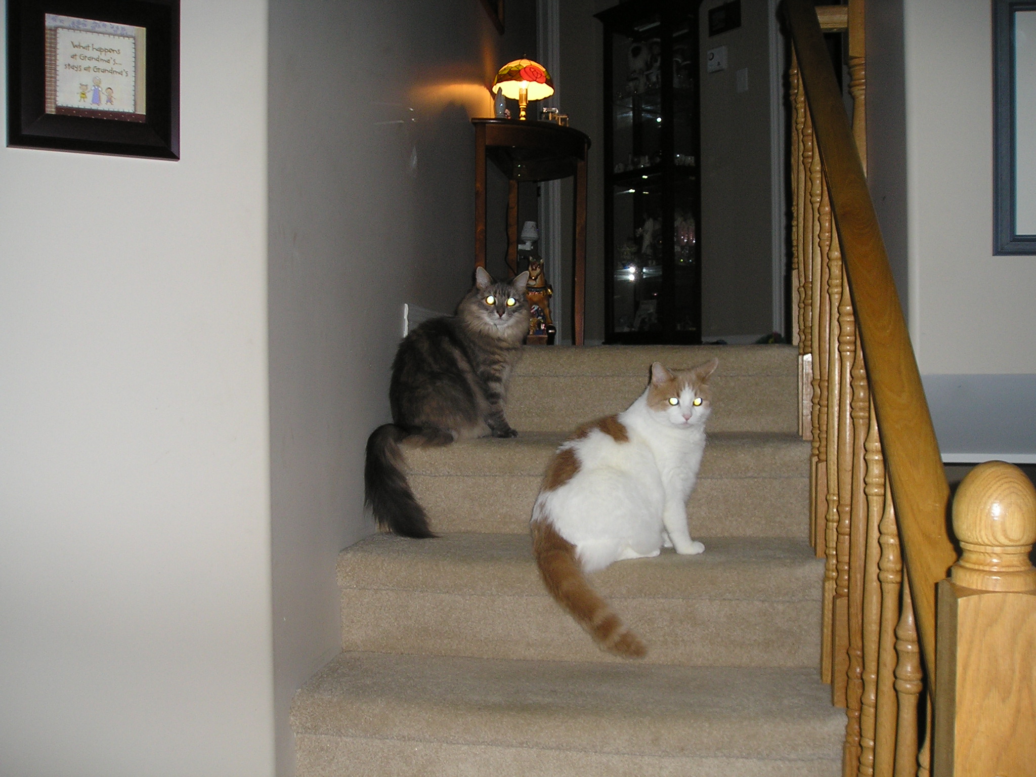 Main Gallery Display