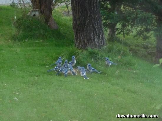 Main Gallery Display