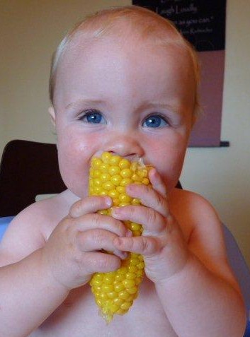 Main Gallery Display