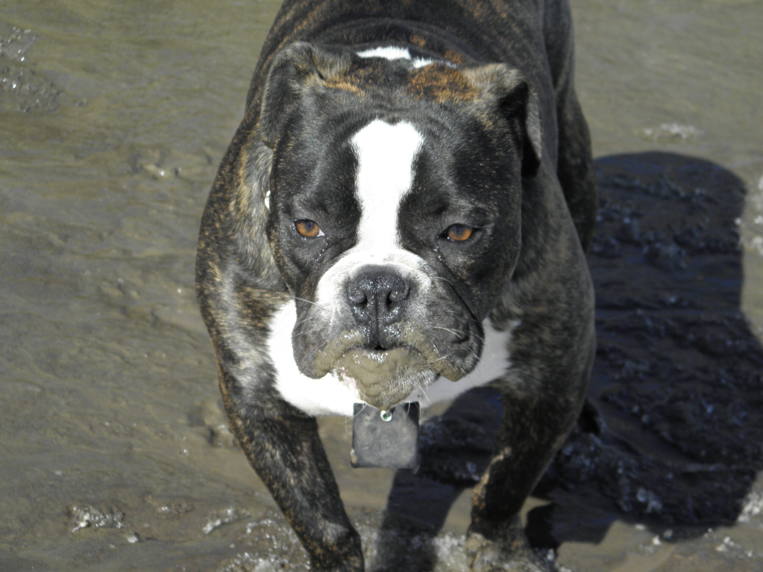 Main Gallery Display