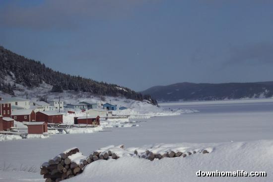 Main Gallery Display