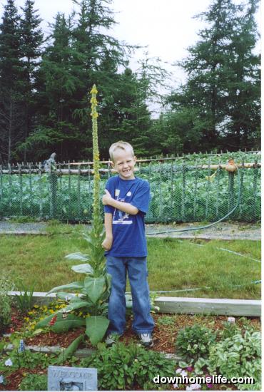 Main Gallery Display